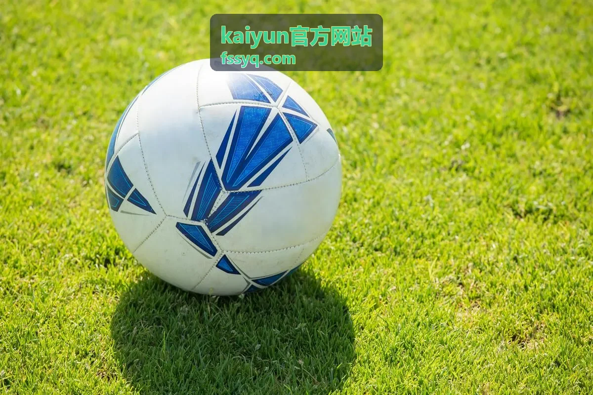 kaiyun官方网站渠道数据接入场景
